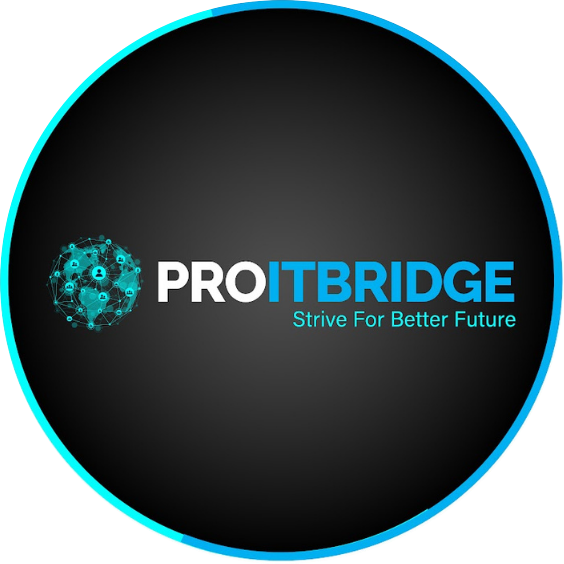ProITBridge technology company logo showcasing professional branding services from a digital marketing agency in Chennai