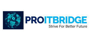 proitbridge-digital-marketing-consultant