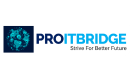 Client testimonial for Digises digital marketing company from Pro IT Bridge
